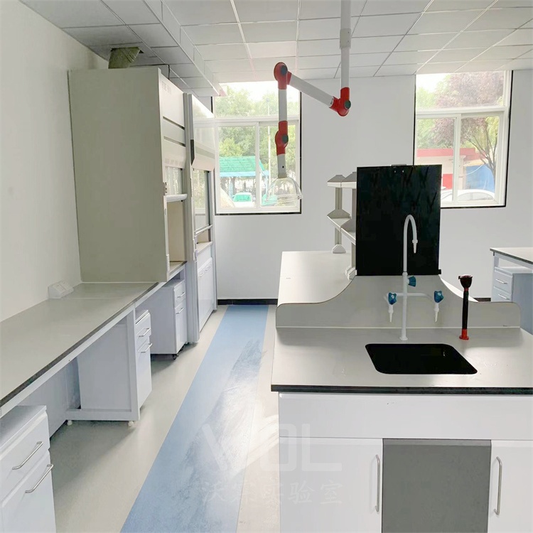 祝賀陜西某肥業(yè)有限公司化驗(yàn)室順利完工投入使用!